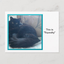 はがきに密書を書く ポストカード