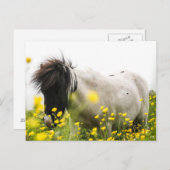 はがきに嵐が吹き付く ポストカード (正面/裏面)