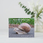 はがきに沿ってくつろいでいます ポストカード (スタンド正面)