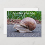 はがきに沿ってくつろいでいます ポストカード (正面/裏面)