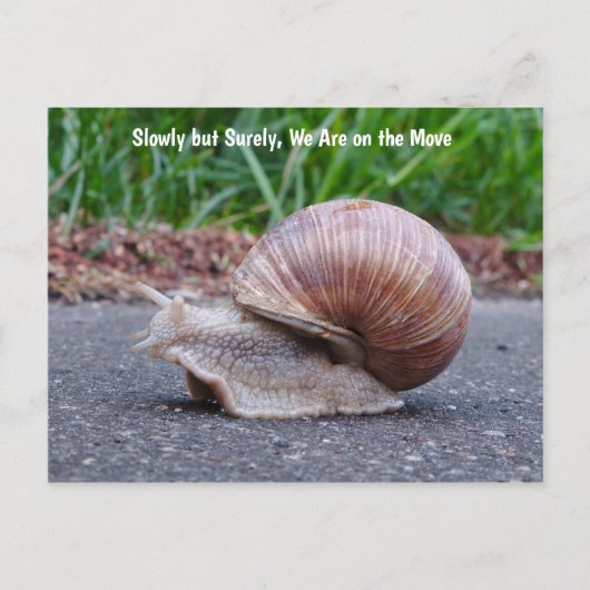 はがきに沿ってくつろいでいます ポストカード (正面)