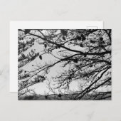 はがきに自然写真 ポストカード (正面/裏面)