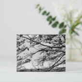 はがきに自然写真 ポストカード (スタンド正面)