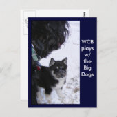 はがきのパップ ポストカード (正面/裏面)