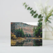 はがきの検索 ポストカード (スタンド正面)