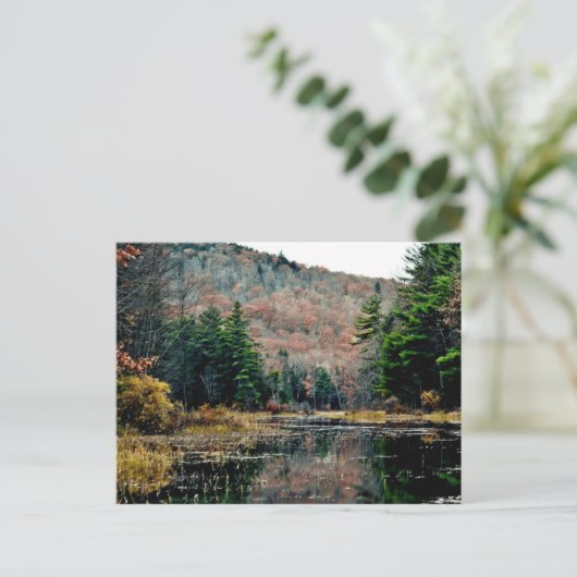 はがきの検索 ポストカード (スタンド正面)