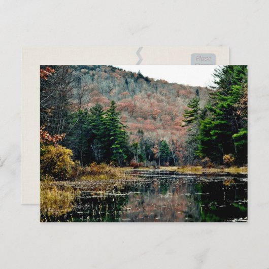 はがきの検索 ポストカード (正面/裏面)