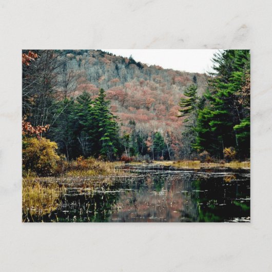 はがきの検索 ポストカード (正面)