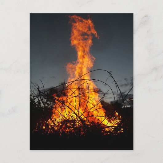 はがきの焚き火 ポストカード (正面)