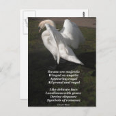 はがきの白鳥はラディー・威厳のあるバセットが作る ポストカード (正面/裏面)