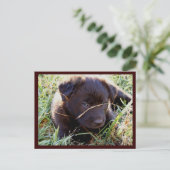 はがきの非表示とシーク ポストカード (スタンド正面)