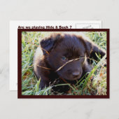 はがきの非表示とシーク ポストカード (正面/裏面)