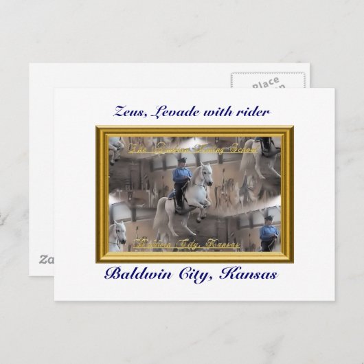 はがきを揃える ポストカード (正面/裏面)