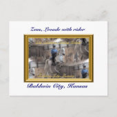 はがきを揃える ポストカード (正面)