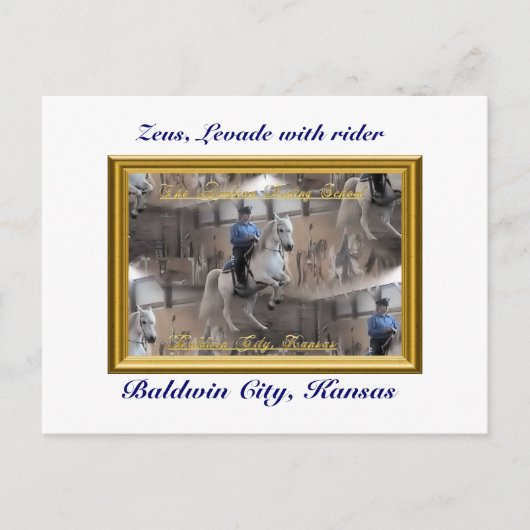 はがきを揃える ポストカード (正面)