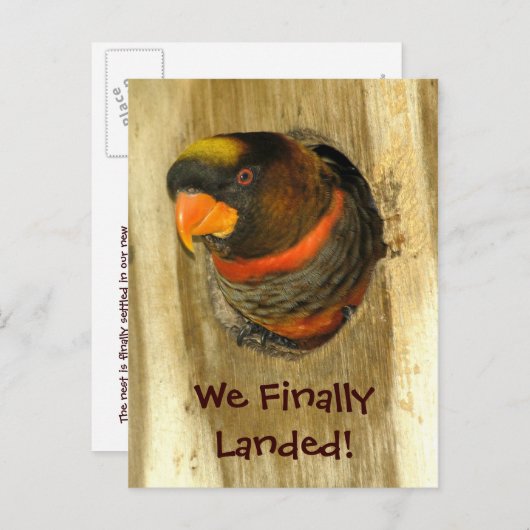 はがきを移動 案内ポストカード (正面/裏面)