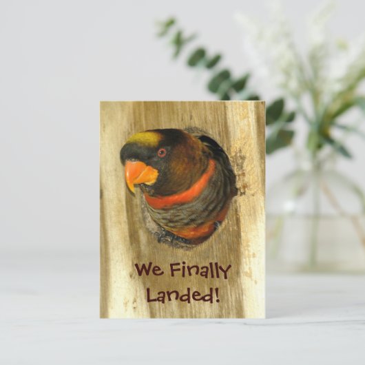 はがきを移動 案内ポストカード (スタンド正面)