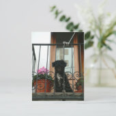 はがきを見て ポストカード (スタンド正面)