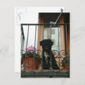 はがきを見て ポストカード (正面/裏面)