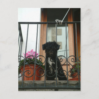 はがきを見て ポストカード