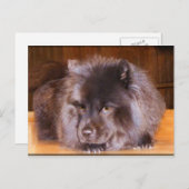 はがきを選ぶ ポストカード (正面/裏面)