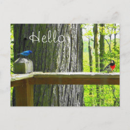 はがきインディゴバンティング&バラブレストグロズベーク ポストカード