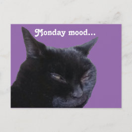 はがきキャット月曜日ムード ポストカード