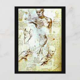 はがきクラシックヴィンテージ/レオナルドダヴィンチ13 ポストカード