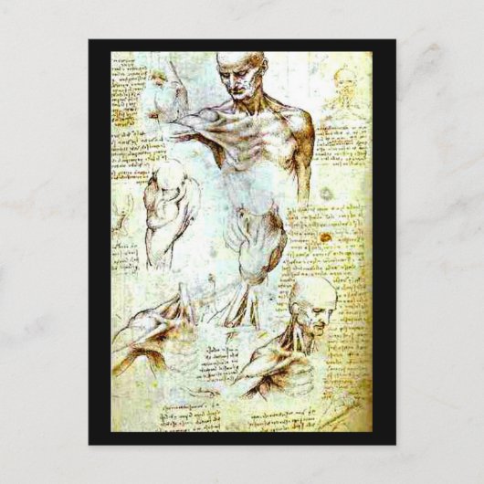 はがきクラシックヴィンテージ/レオナルドダヴィンチ13 ポストカード (正面)