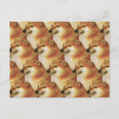 はがきチームズミーム ポストカード (正面)