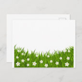 はがきデイジーと芝生 ポストカード (正面/裏面)