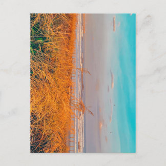 はがきビーチ ポストカード