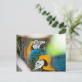 はがきブルーマクaws ポストカード (スタンド正面)