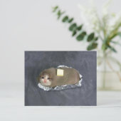 はがきボタンキャットミーム ポストカード (スタンド正面)