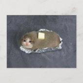 はがきボタンキャットミーム ポストカード (正面)