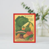 はがきヴィンテージアンティークBurt Co植物種子 ポストカード (スタンド正面)