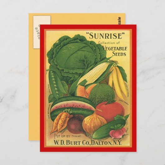 はがきヴィンテージアンティークBurt Co植物種子 ポストカード (正面/裏面)
