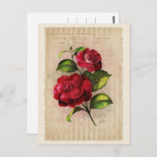 はがきヴィンテージコレクション – Vol.3 – はがき (正面/裏面)