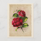 はがきヴィンテージコレクション – Vol.3 – はがき (正面)