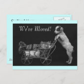 はがきヴィンテージスイートペッツ引っ越しましたアドレス 案内ポストカード (正面/裏面)