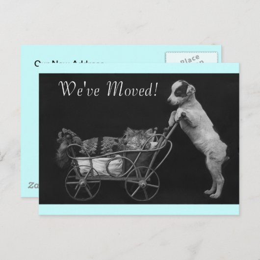 はがきヴィンテージスイートペッツ引っ越しましたアドレス 案内ポストカード (正面/裏面)