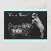 はがきヴィンテージスイートペッツ引っ越しましたアドレス 案内ポストカード (正面)