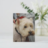 はがき垂直テンプレート- カスタマイズ ポストカード (スタンド正面)