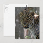 はがき垂直テンプレート- カスタマイズ ポストカード (正面/裏面)
