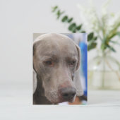 はがき垂直テンプレート- カスタマイズ ポストカード (スタンド正面)