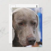 はがき垂直テンプレート- カスタマイズ ポストカード (正面/裏面)