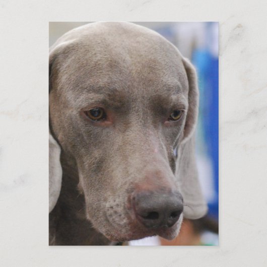 はがき垂直テンプレート- カスタマイズ ポストカード (正面)