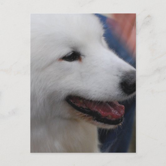 はがき垂直テンプレート- カスタマイズ ポストカード (正面)