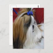 はがき垂直テンプレート- カスタマイズ ポストカード (正面/裏面)