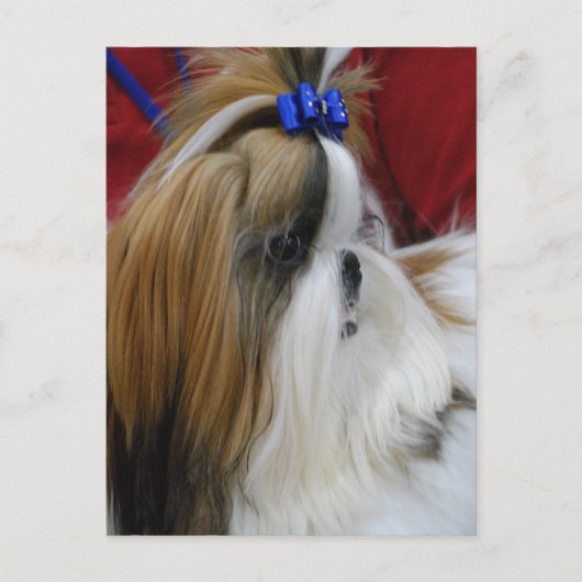 はがき垂直テンプレート- カスタマイズ ポストカード (正面)